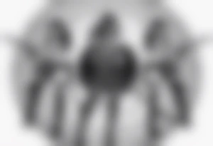 3 female warriors in full body armor wielding dual swords, facing away, in front of a incomplete enso circle tattoo idea
