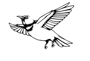 Male European Blackbird flying tattoo idea tattoo idea