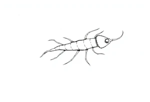 Monocotylédones tattoo idea