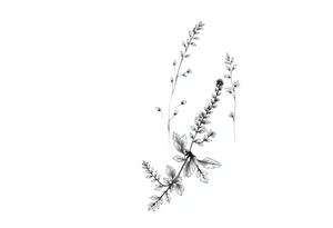 Parsley sage rosemary and thyme botanical drawing tattoo idea