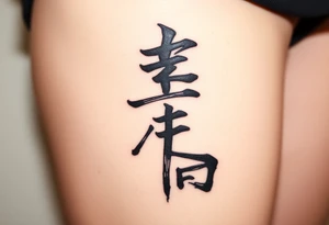 30 12 2006 in kanji sosho for a man tattoo idea