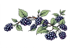 American traditional style Blackberry vine in a line tattoo idea