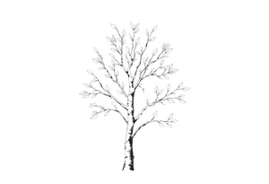 birch tree with light coloured leaves tattoo idea