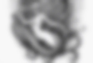 Octopus around lower leg  holding a mermaid tattoo idea