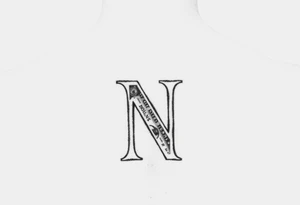Small Letter N with a dollar bill tattoo idea