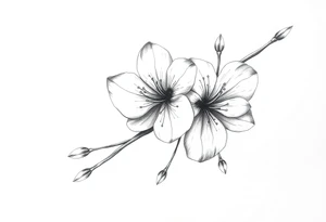 Elongated Cherry blossom with round petals tattoo idea