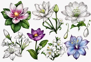 Make a tattoo with Cosmos flower, lily Of the valley, water lily, snow drop, and morning glory with all flowers together tattoo idea