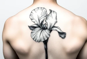 Single Iris painted in Van Gogh style. One petal falling and one upright. Integrating Kintsugi artform. tattoo idea