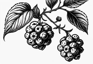 a minimalist raspberry branch that would go vertical down the leg tattoo idea