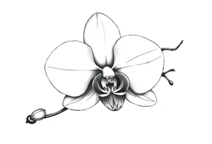 orchid flower tattoo idea
