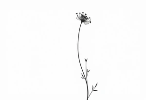 Cirsium vulgare tattoo idea