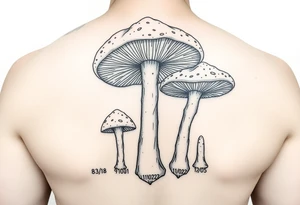 Psychedelic mushrooms two big four small with the stems of the small ones being their birth date which is 8/3/18, /9/10/21, 11/18/22 and 1/20/25. tattoo idea