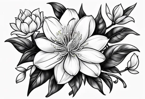 Jasmine flower tattoo idea
