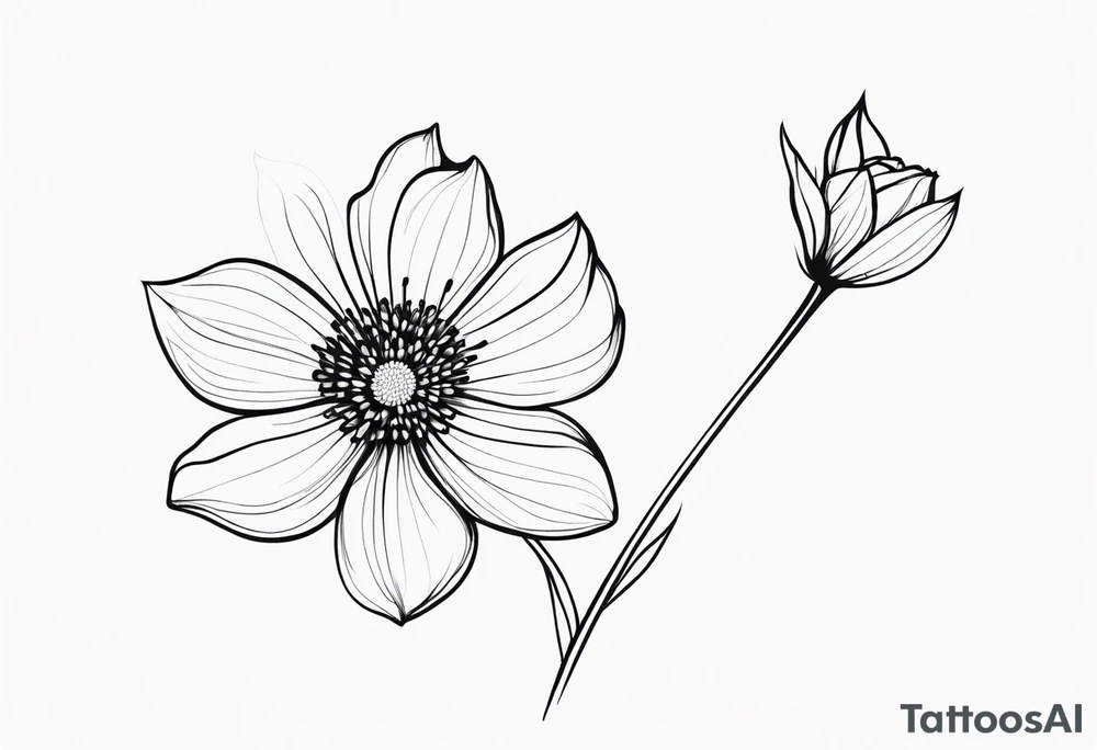 one very simple and no detailed waratha flower with stem in black and white, fine-line, very minimalistic, only a few lines tattoo idea