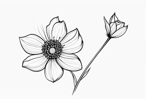 one very simple and no detailed waratha flower with stem in black and white, fine-line, very minimalistic, only a few lines tattoo idea