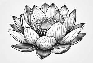a masculine line drawing of a lotus flower tattoo idea