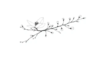 Graceful long magnolia branch with small flowers in early blossom stage with closed flowers tattoo idea