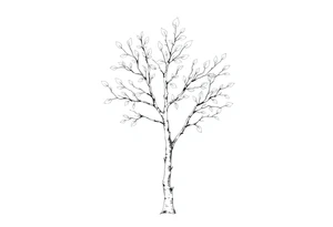 birch tree with light coloured leaves tattoo idea