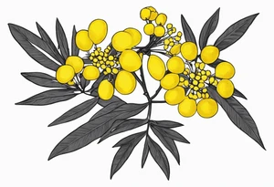 national Australian flower (waratha or the golden wattle), simple/not to detailed, placed to be able to extend a whole bouquet tattoo idea