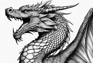 Dragon tattoo idea