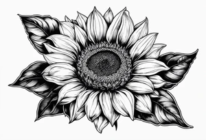Sunflower realistic black and white fine line detailed tattoo idea
