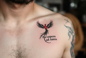 Inked in crimson and charcoal, this tattoo pairs the Latin phrase "Per aspera ad Astra" with a rising phoenix, evoking triumph through pain. tattoo idea