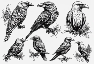 highly detailed bird, Lynyrd Skynyrd 
free from birdcage tattoo idea