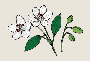One snowdrop, One hawthorn flower, Two honeysuckle blooms, tattoo idea
