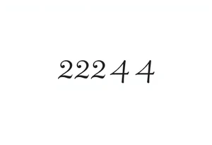 a tatto that says 224  in cyber font no decorations minimalist tattoo idea