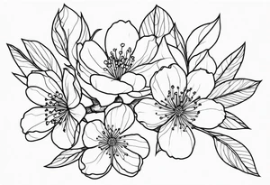 Cherry blossom flowers and branches no color, 3 inches, detailed, dark lines tattoo idea