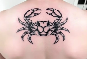 powerful majestic but vicious crab ready to defend or attack proudly showing off that a crab is the sign of a cancer tattoo idea