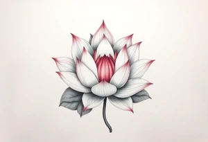 Crazy new school blooming lotus flowers tattoo idea