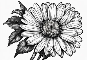 Chamomile stem from afar tattoo idea