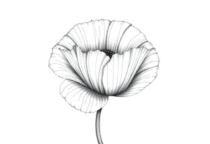 Large poppy flower tattoo idea