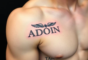 vertical Adonis over Psyche tattoo, black line art, outer arm, minimalist Greek letters with wing and flower accents tattoo idea