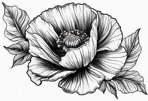 Poppy flowers shoulder tattoo idea