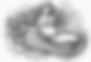 full body mermaid lying on her back with flowing hair and fan tail tattoo idea