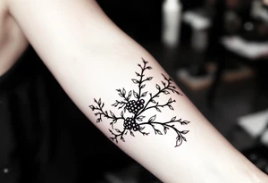American traditional style Blackberry vine to wrap around an arm tattoo idea
