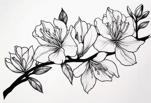 5-petal Azaleas, spread out along a long branch tattoo idea