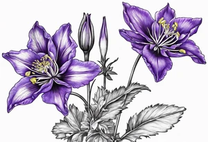 Columbine flower purple with stem in seep tattoo idea
