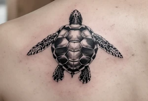 turtle tattoo idea