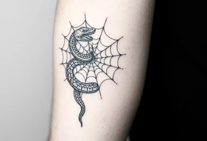 Snake wrapped in a spider web tattoo idea