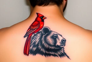 Realistic bright red cardinal perched on the shoulder of a realistic black bear. tattoo idea