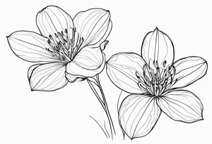 Platycodon grandiflorus tattoo idea