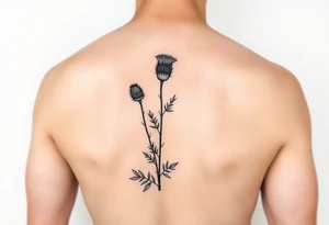 dainty botanical drawing of scottish thistle, olive branch/olive, and cat nip for a wrap around wrist tattoo as one plant tattoo idea