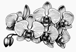 orchid, line art tattoo idea