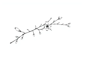 Magnolia branch long with different small almost closed flowers, with botanical details and dots tattoo idea