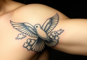 Dove and a blue jay, clouds, shining light to or from heaven tattoo idea