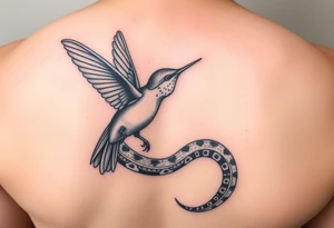 Humming bird looking down at snake. snake tail wrapped around humming bird. snake hissing at humming bird tattoo idea