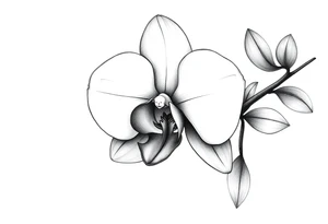 orchid flower tattoo idea